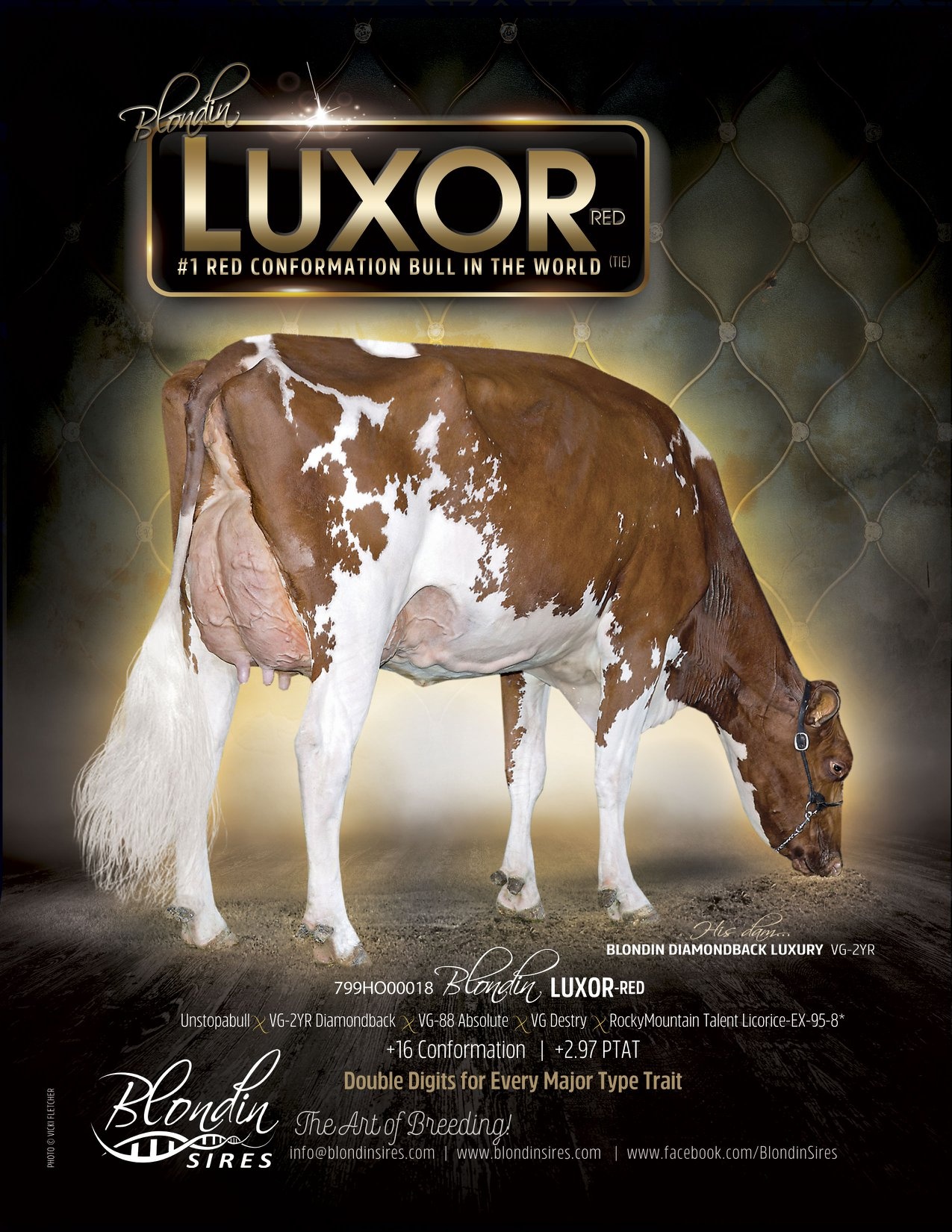LUXOR-RED